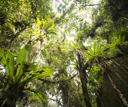 Invest $500bn annually to protect and restore nature
